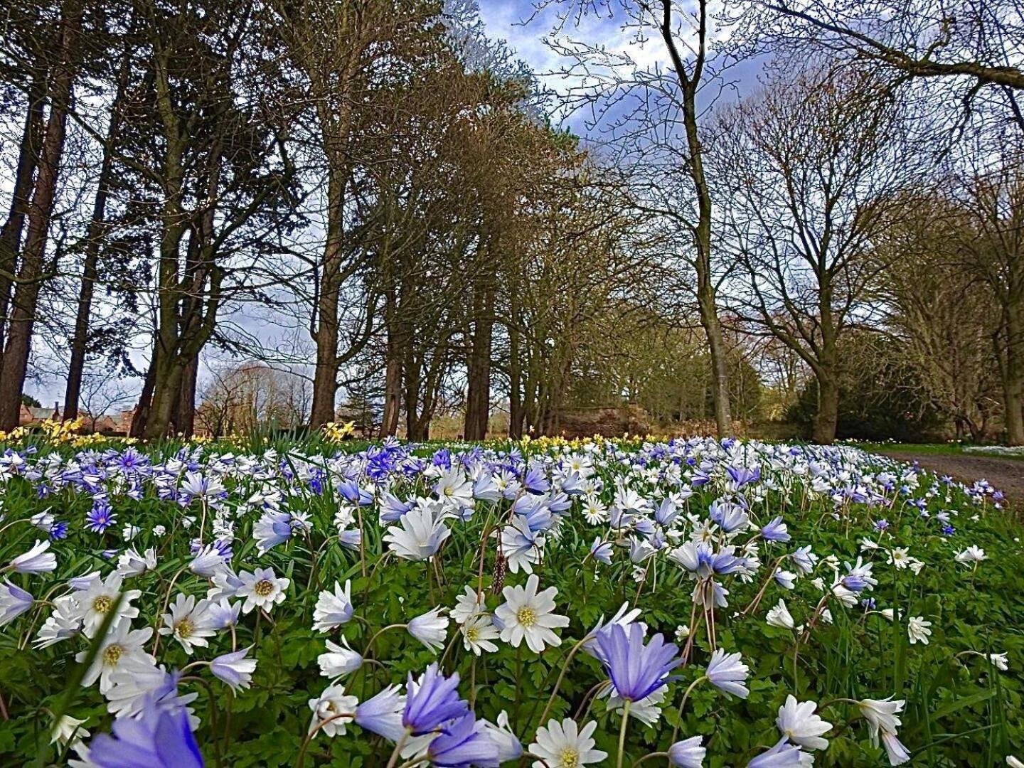 Thornton Manor - And * Heswall