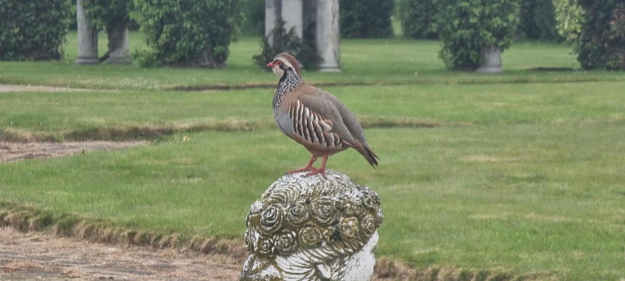 Thornton Manor - And *