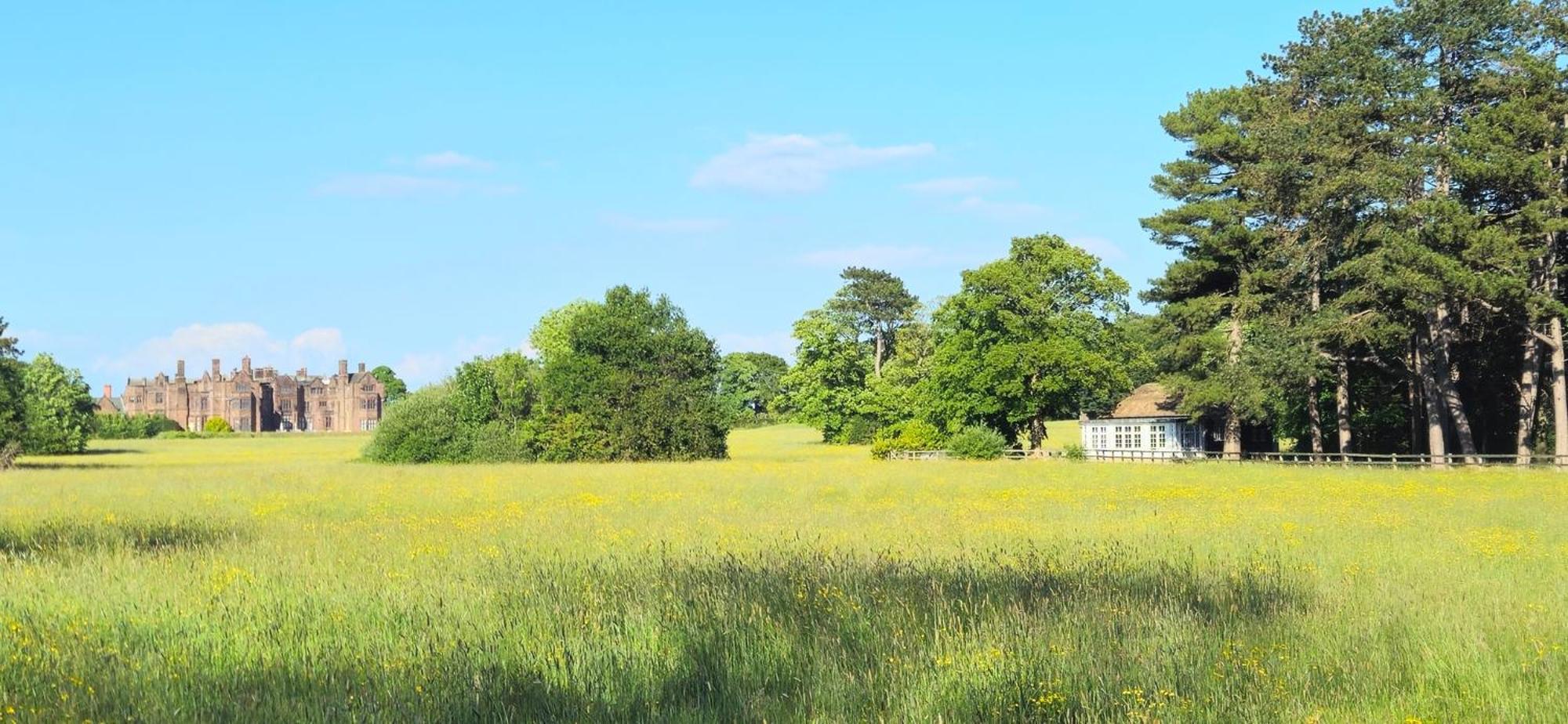 Thornton Manor - And